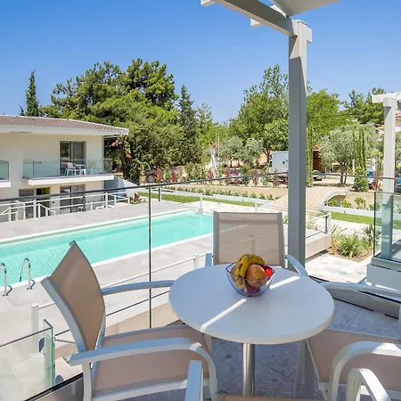 The Elegant ポトス