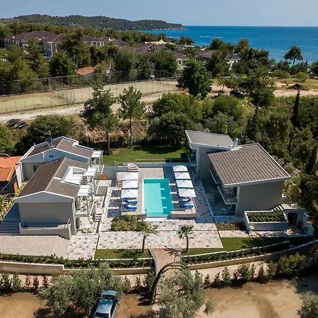 The Elegant * ポトス