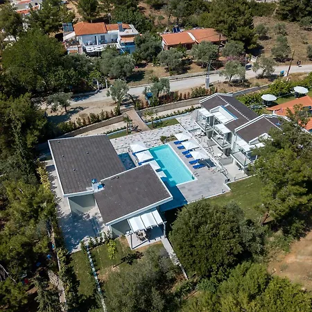 The Elegant * ポトス